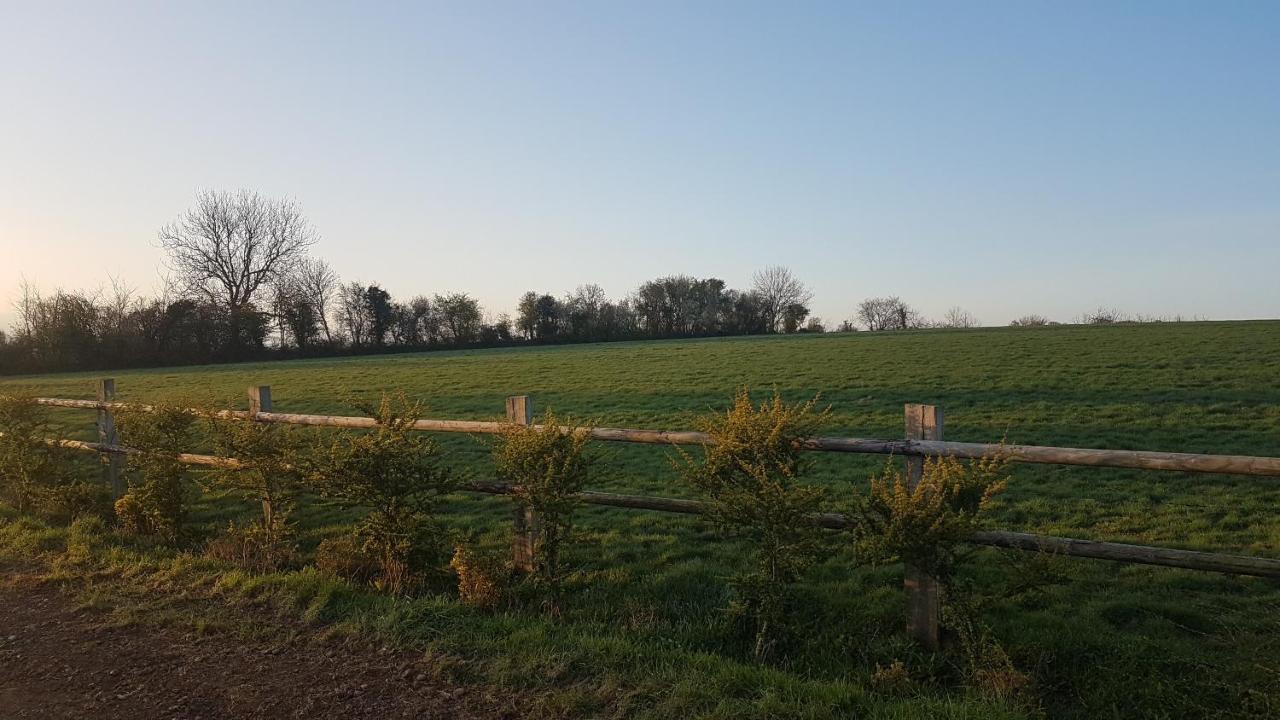 Le Domaine Des Roseraies Monfréville Esterno foto
