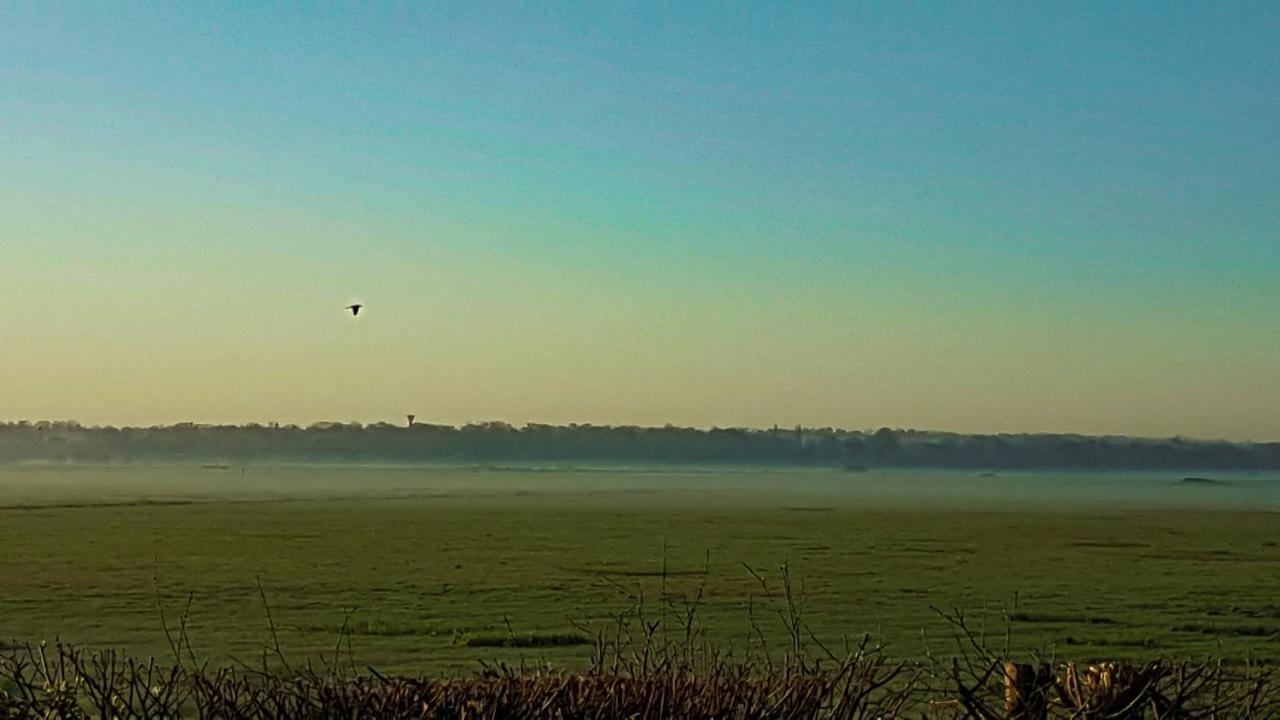 Le Domaine Des Roseraies Monfréville Esterno foto